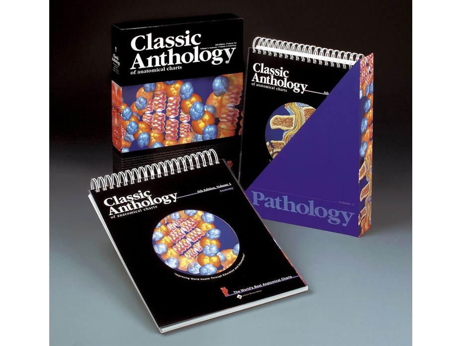 Anthology of Anatomical Charts.JPG