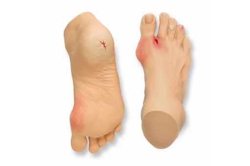 Common Foot Problems Display.jpg