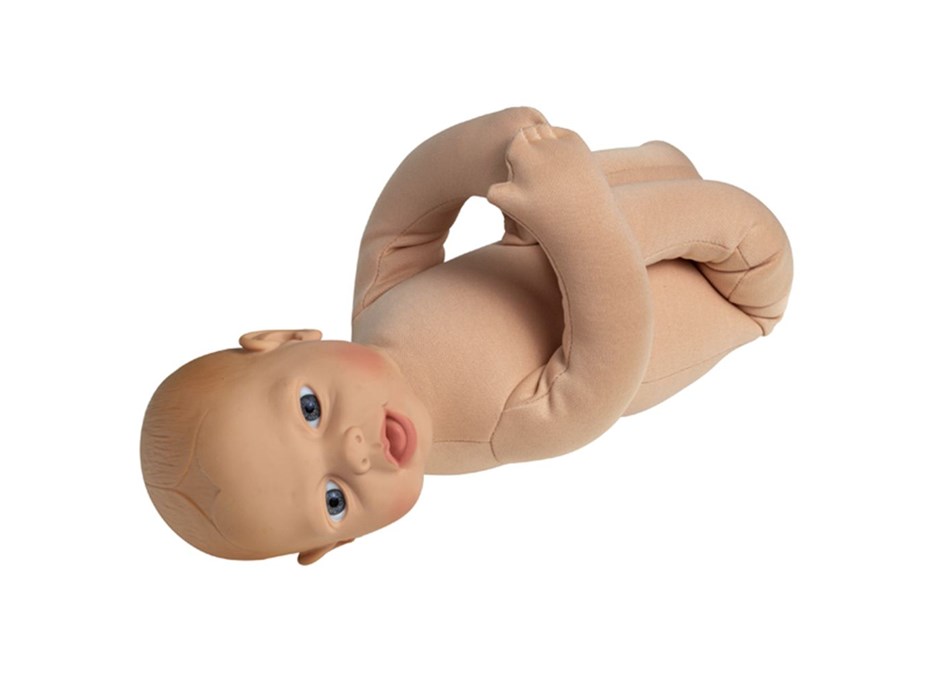 Foetal Model Doll.jpg