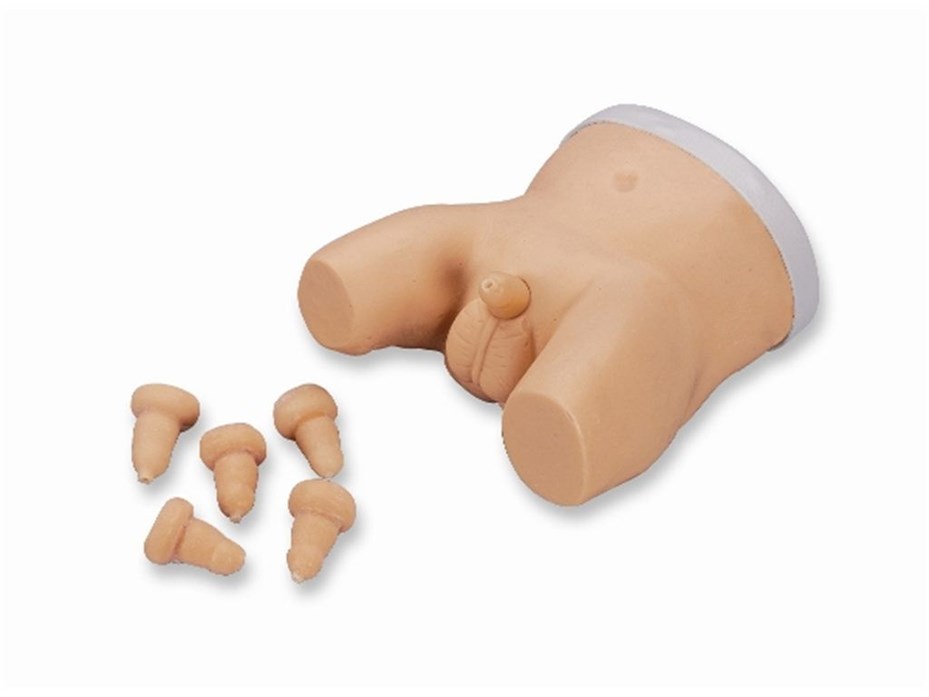 Lifeform® Infant Circumcision Trainer.JPG