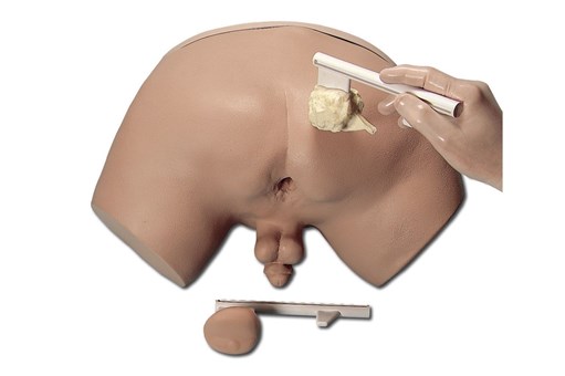 Lifeform® Prostate Examination Simulator.jpg