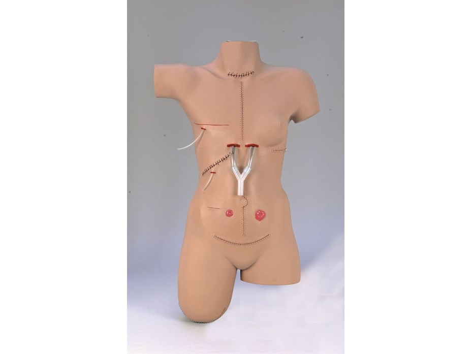 Lifeform® Surgical Sally Bandaging Simulator.jpg
