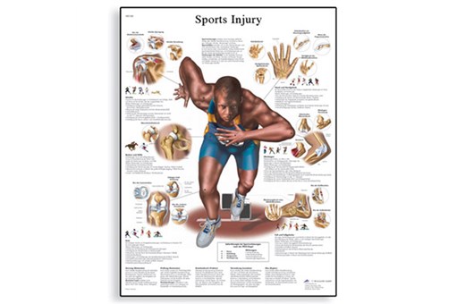 Sports Injuries Chart.jpg