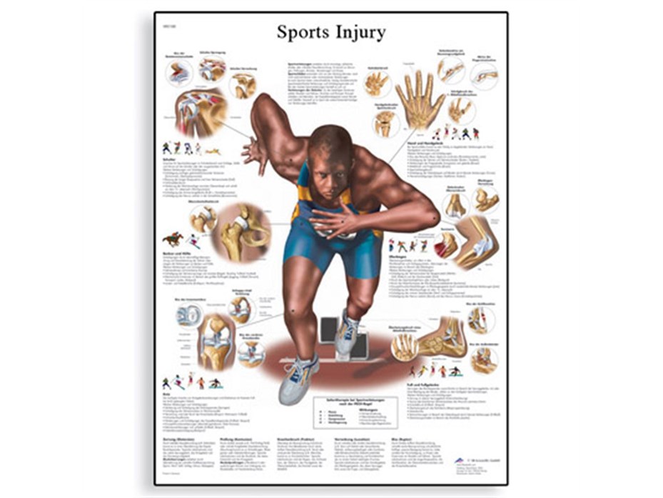 Sports Injuries Chart.jpg